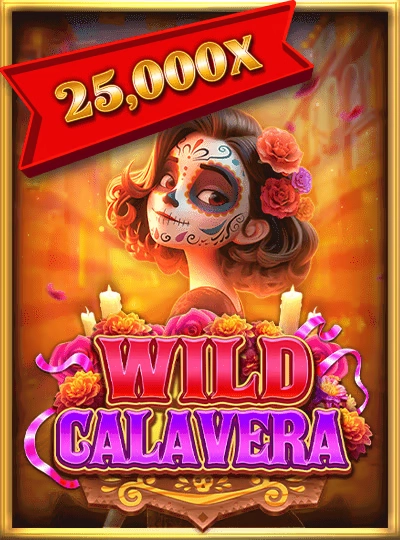 Live casino game show cover at 7d777